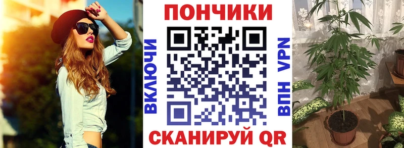 хочу наркоту  Белоозёрский  Конопля индика 